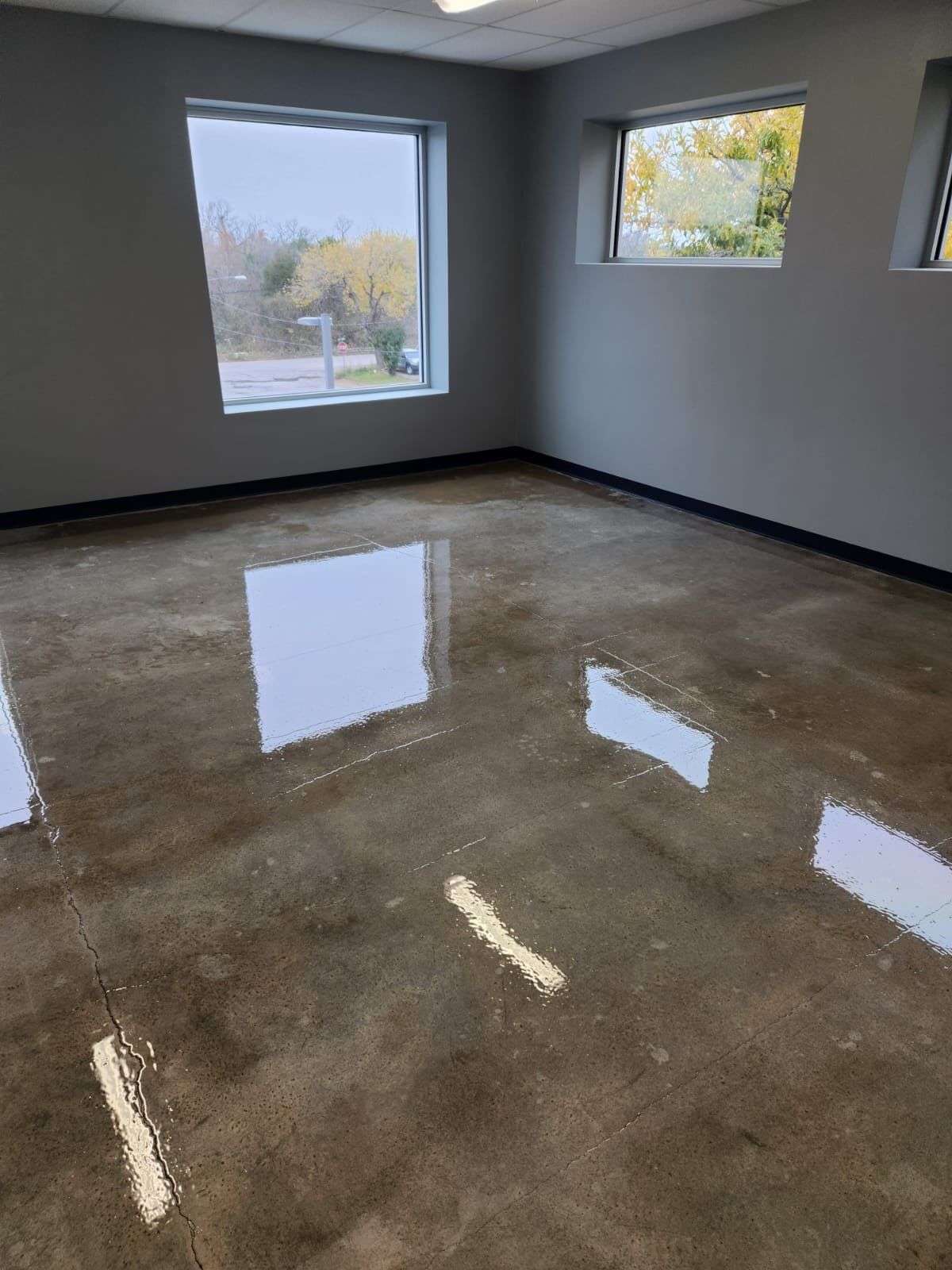 Clean & Seal Project 2